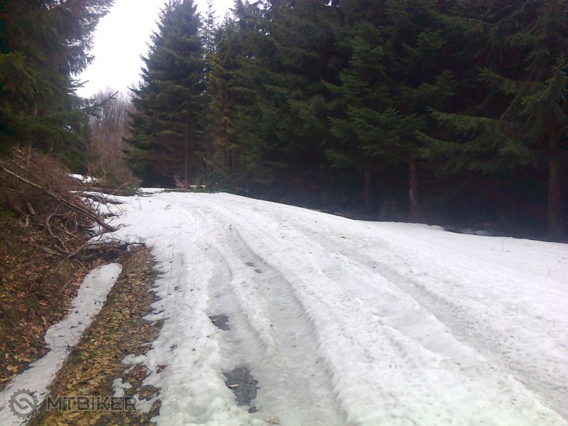 Fotografia1703.jpg