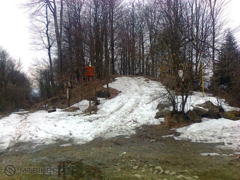 Fotografia1704.jpg