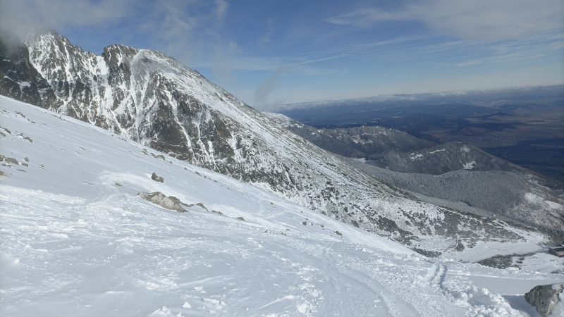 IMG_20250302_115037.jpg