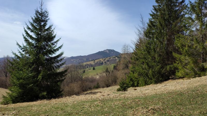 IMG_20250417_122445946_HDR.jpg