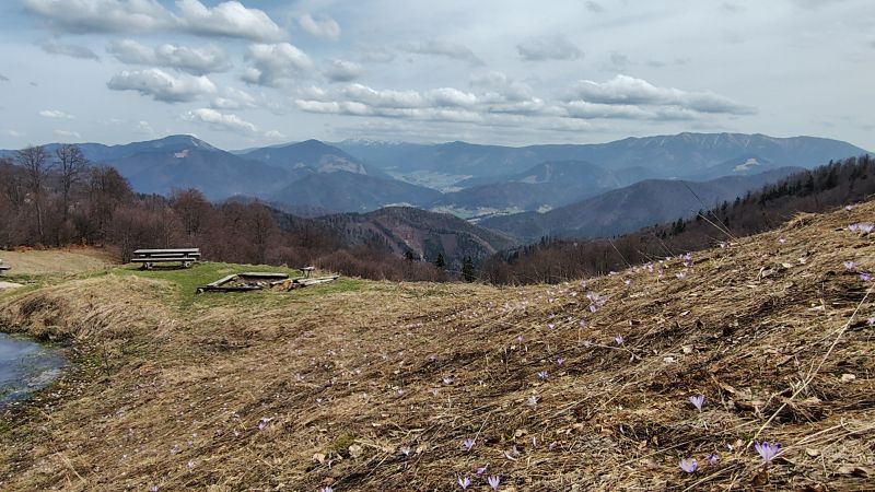 IMG_20250417_130136601_HDR.jpg