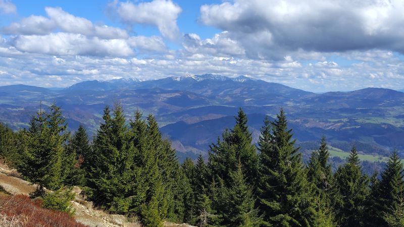 IMG_20250419_141710012_HDR.jpg