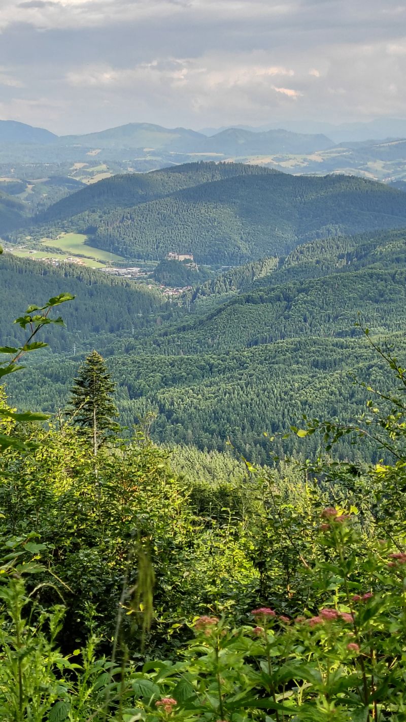IMG_20250715_173208872_HDR.jpg