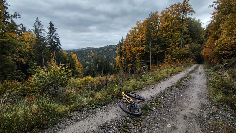 IMG_20251015_162247110_HDR.jpg