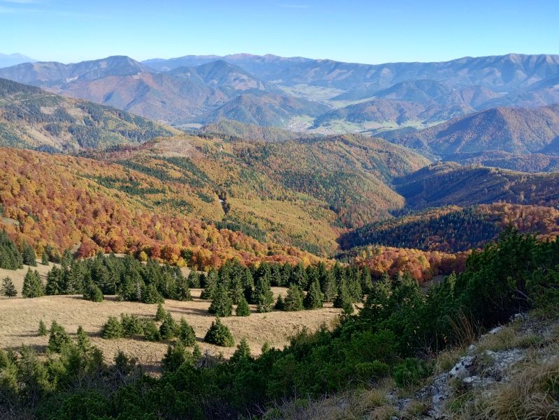 IMG_20241020_135830454_HDR.jpg