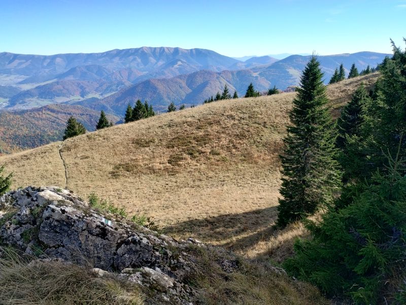 IMG_20241020_140453901_HDR.jpg