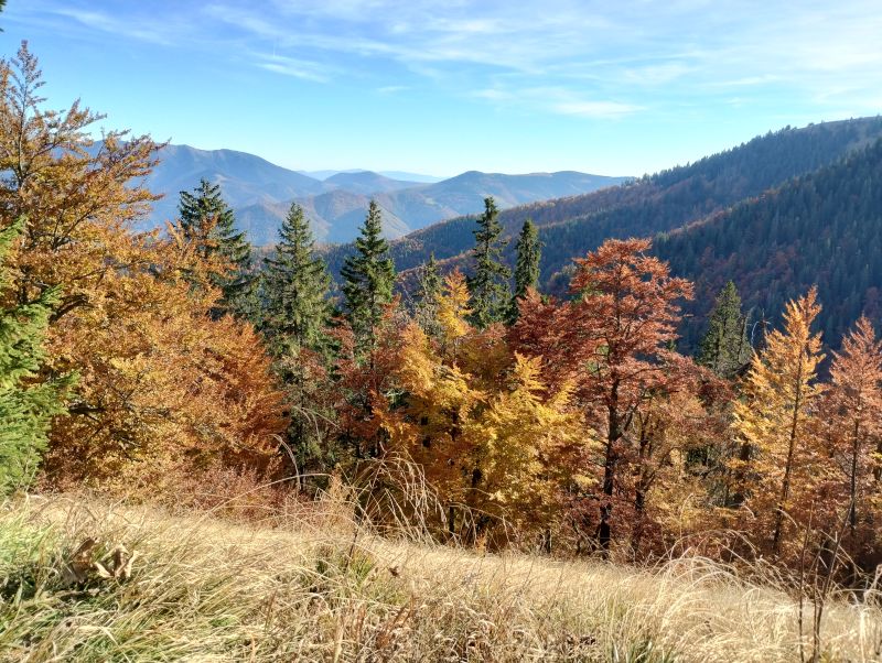 IMG_20241020_150047173_HDR.jpg