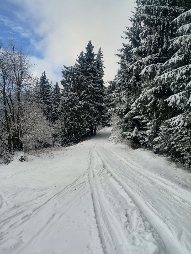 IMG_20241224_101232139_HDR.jpg