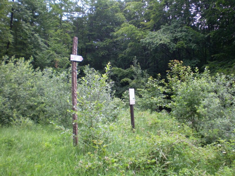 SANY0052.JPG
