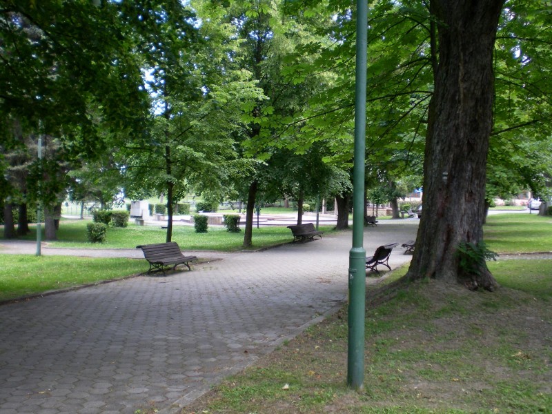 SANY0054.JPG