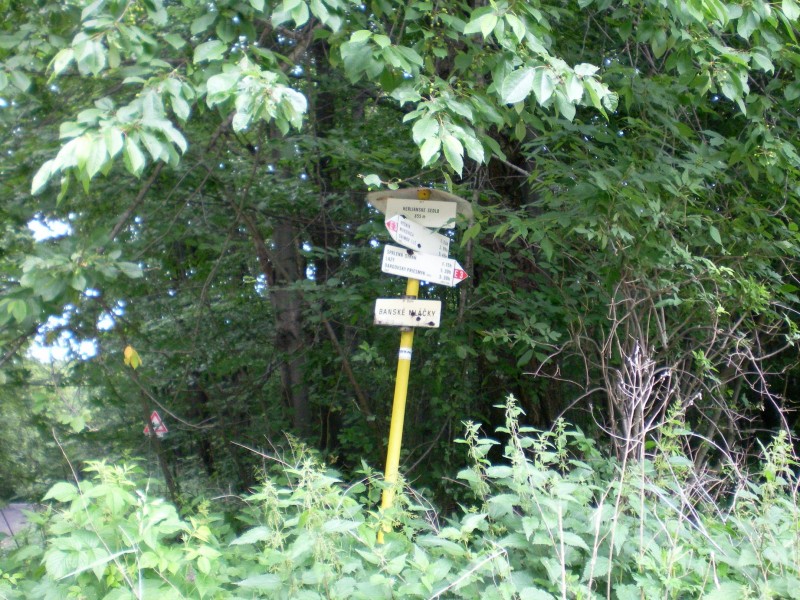 SANY0055.JPG