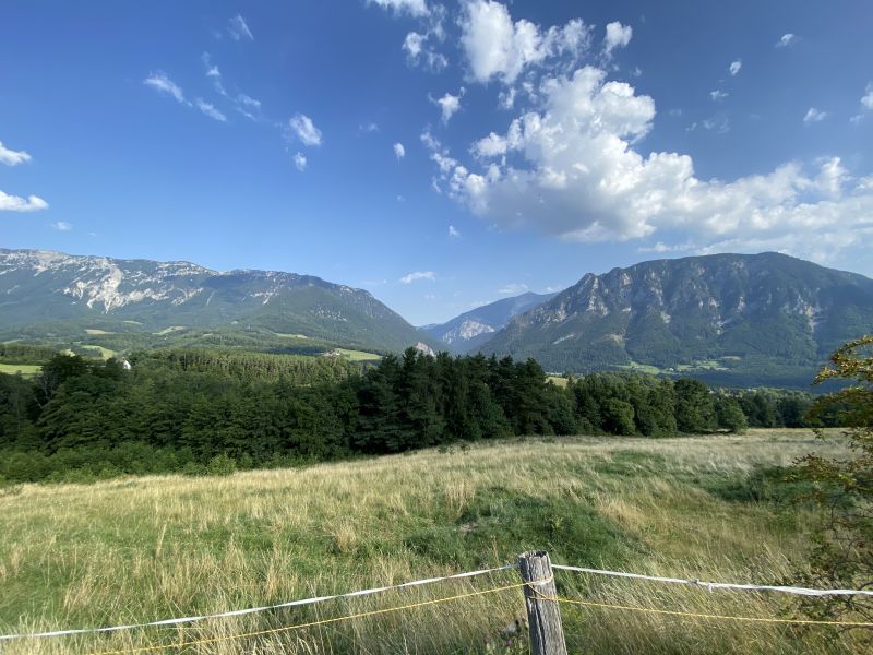 EC195765-7883-47B0-AA3E-11D63D4D6CAA.jpeg