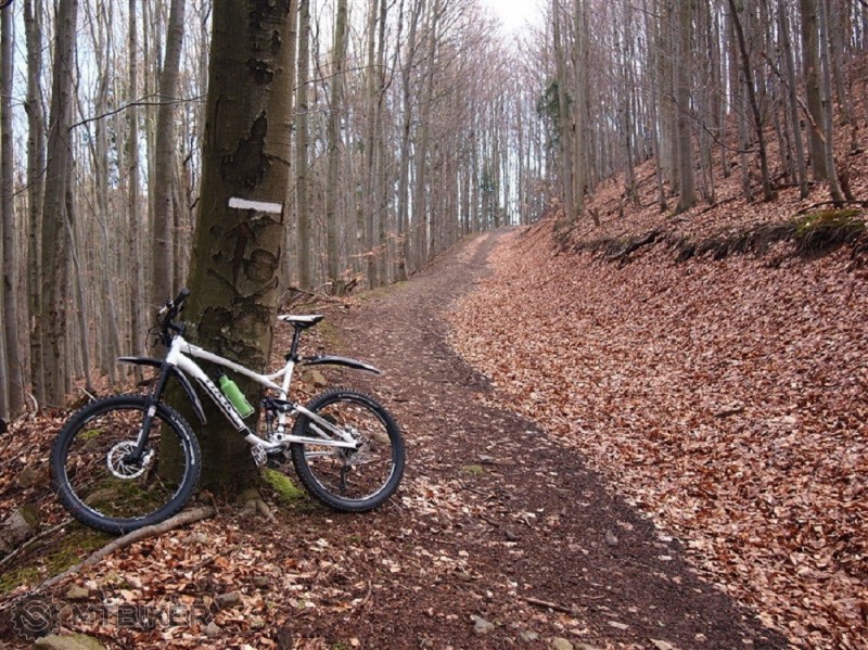 P2221867.jpg