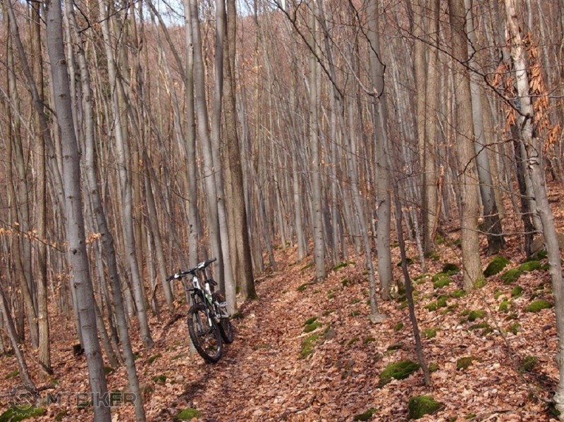 P2221868.jpg