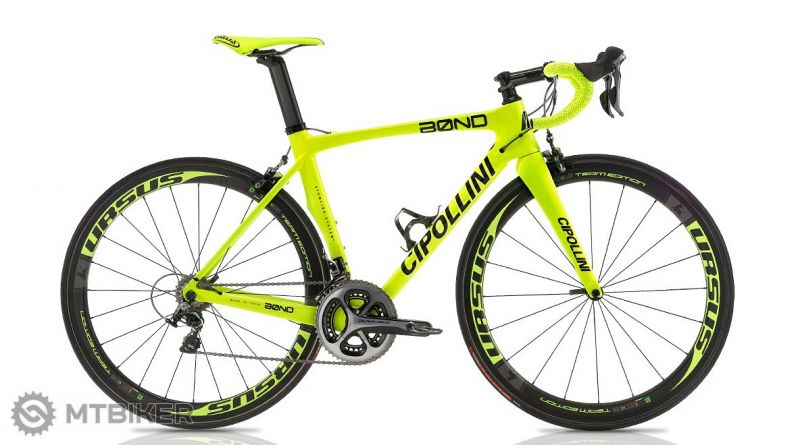 cipollini bond fluo.jpg