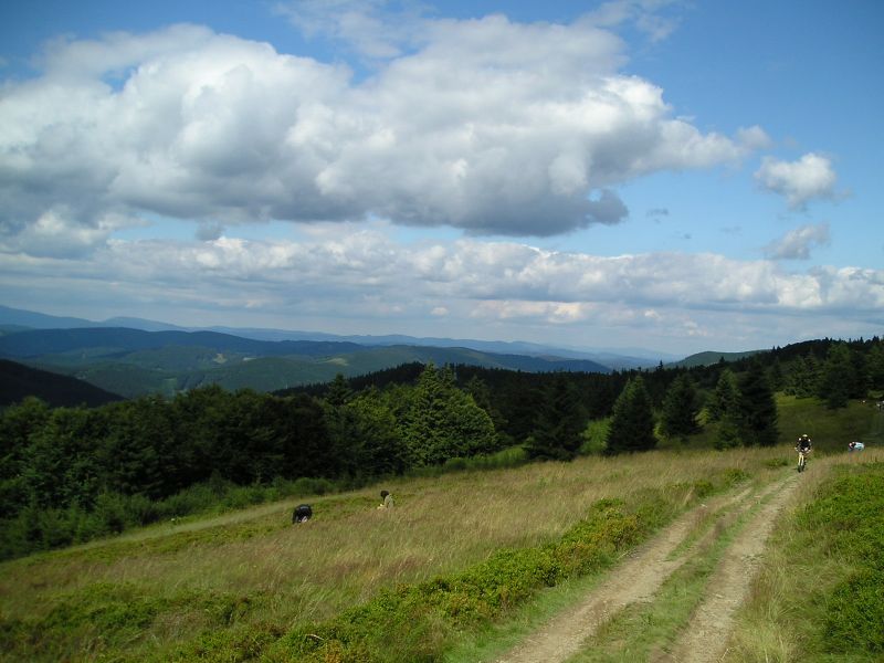 P1010059.JPG