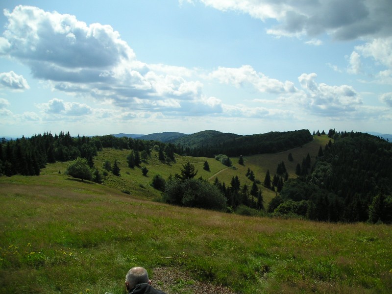 P1010052.JPG