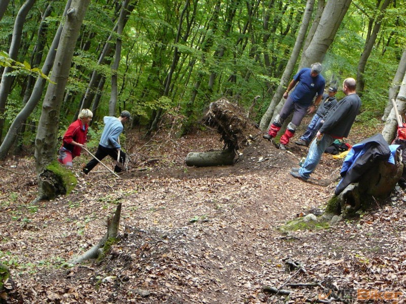P1150302.JPG