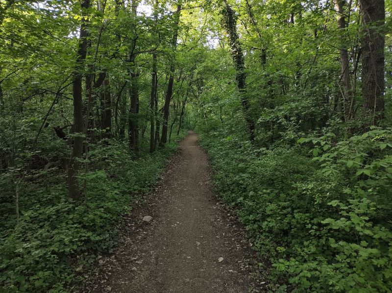 IMG_20250421_181249176_HDR.jpg