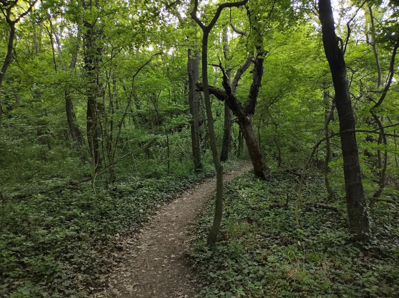 IMG_20250421_181757141_HDR.jpg