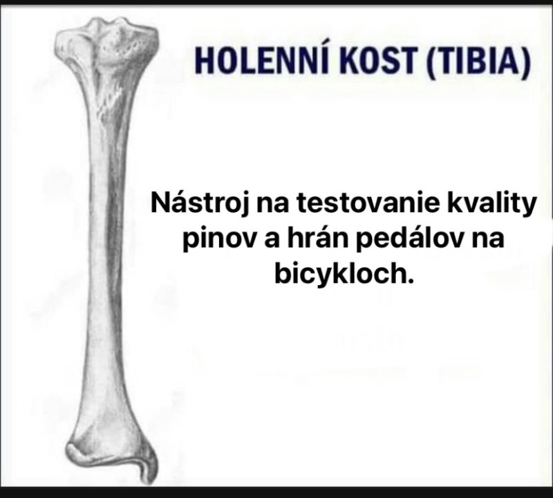 E4D1DE65-50D3-45C0-B949-106F3F312BEF.jpeg