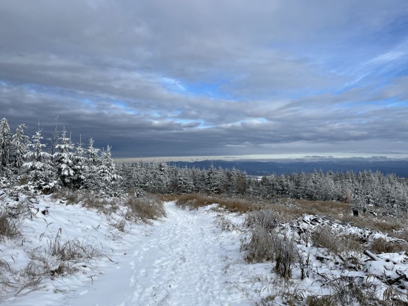IMG_7404.JPG