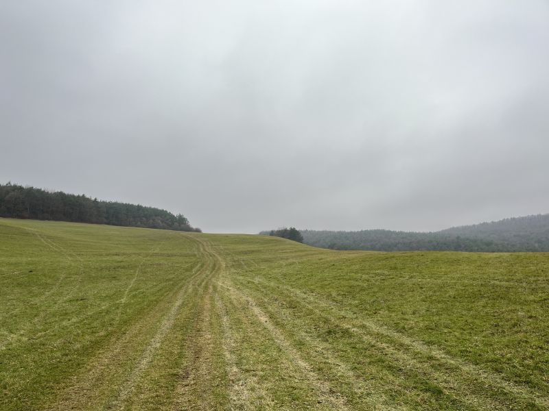 IMG_7414.JPG