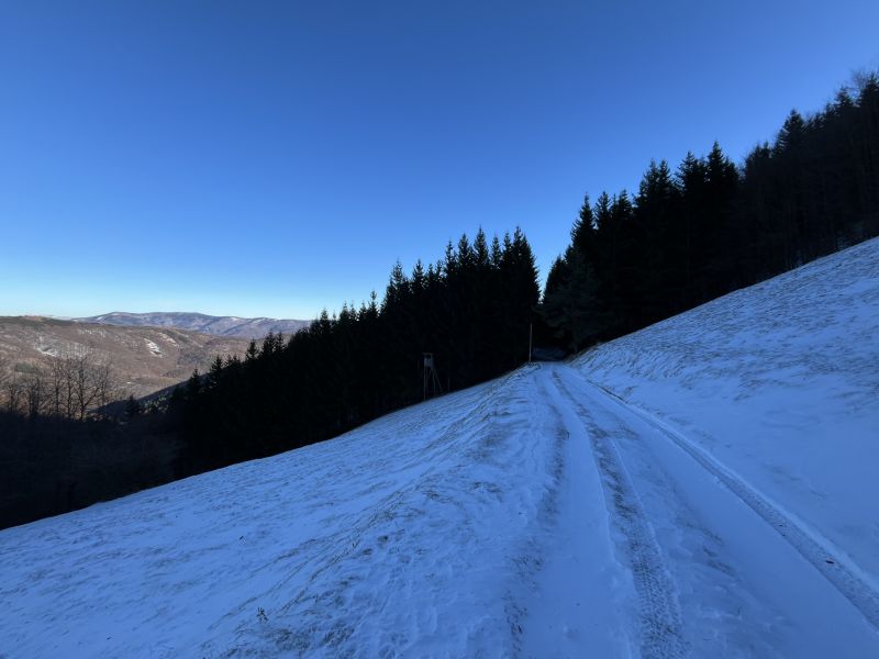 IMG_7450.jpeg