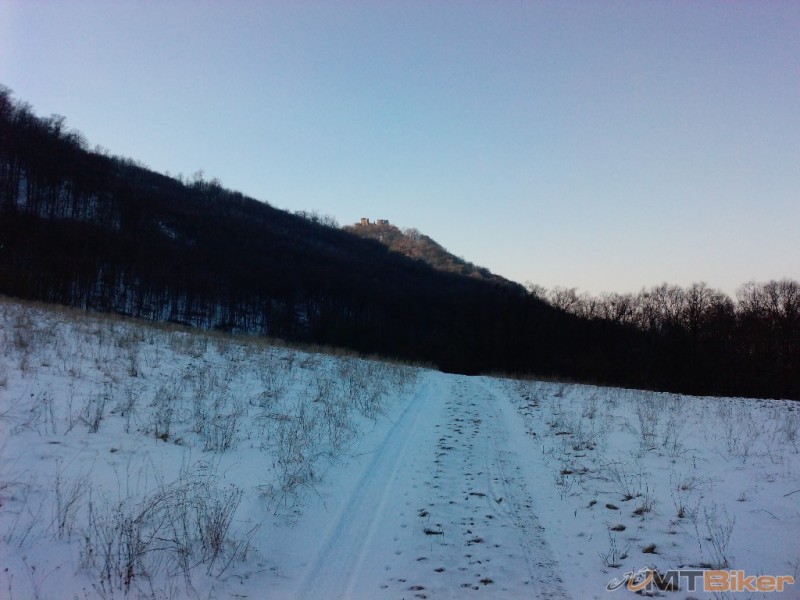 P1404_29-01-11.JPG