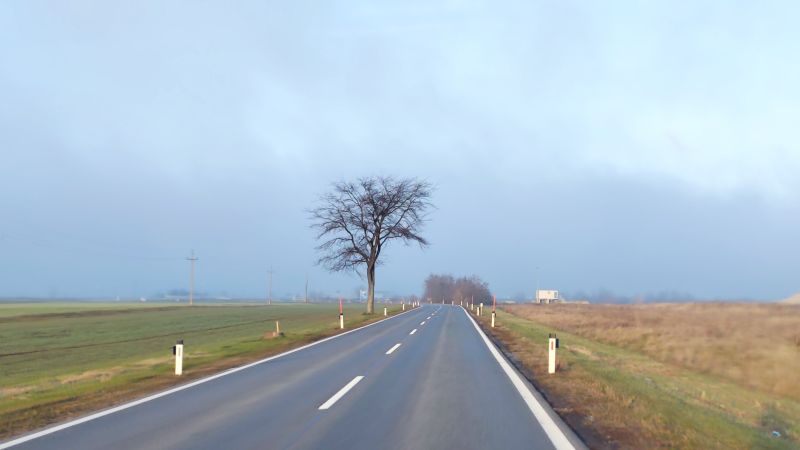 IMG_20241207_151459.jpg