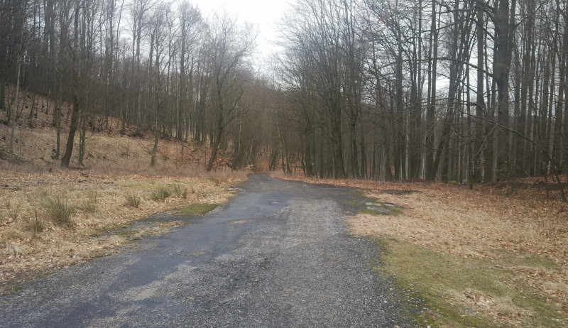 IMG_20200312_134945.jpg