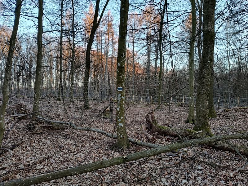 IMG_20250318_173713701_HDR.jpg