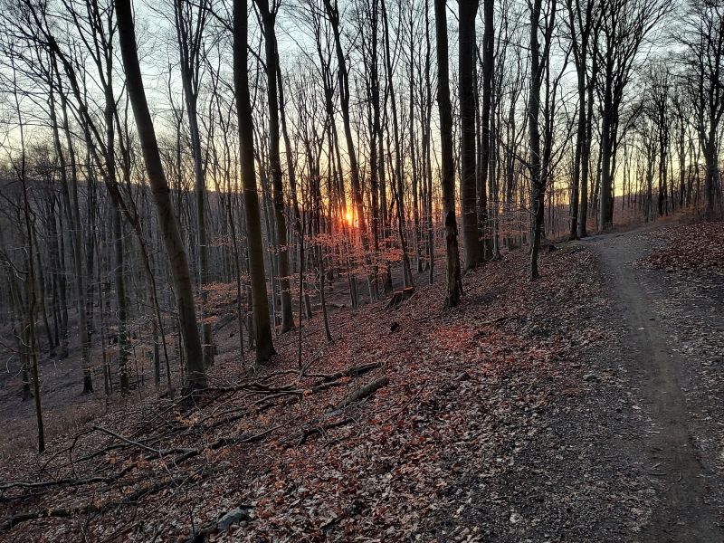 IMG_20250318_175641477_HDR.jpg