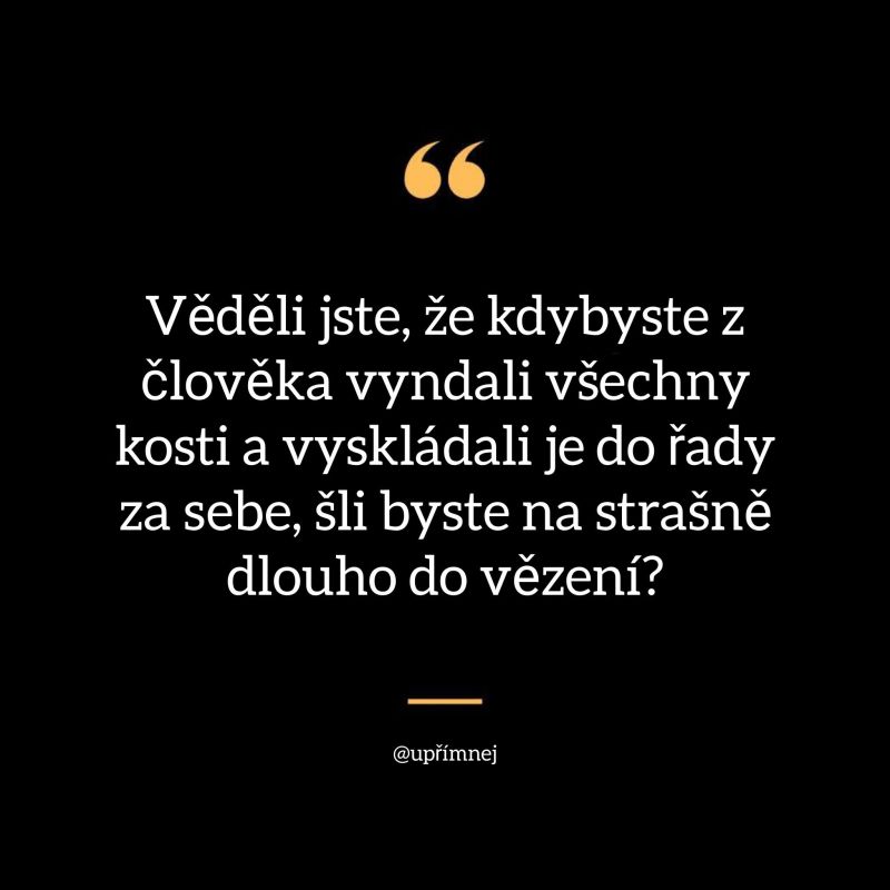 IMG_6962.jpeg