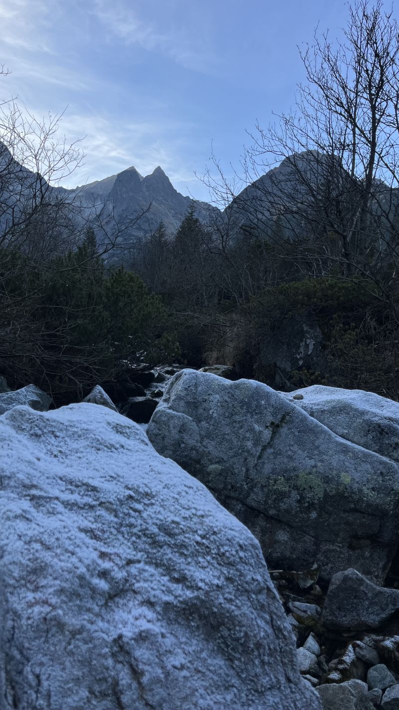 IMG_0706.jpeg