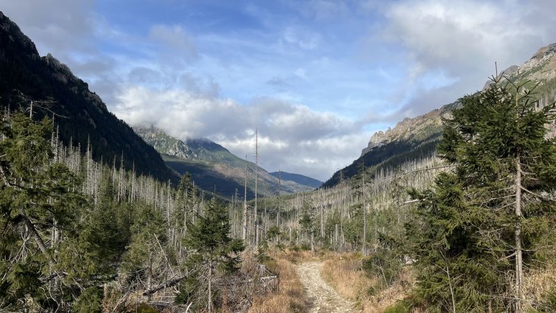IMG_0862.jpeg