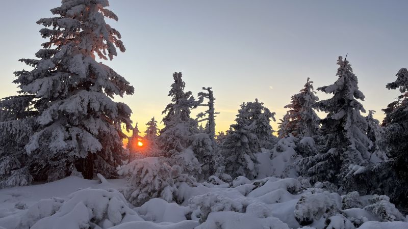 IMG_1341.jpeg