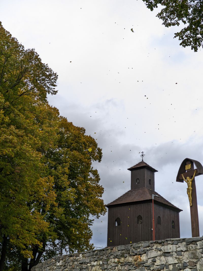 13T20251011_155524.jpg