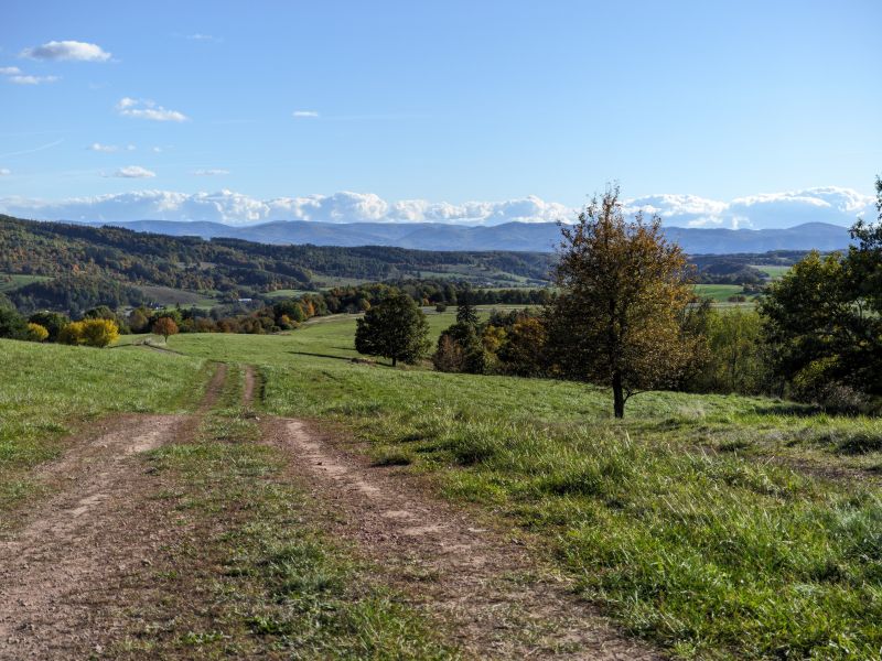 13T20251013_152737.jpg