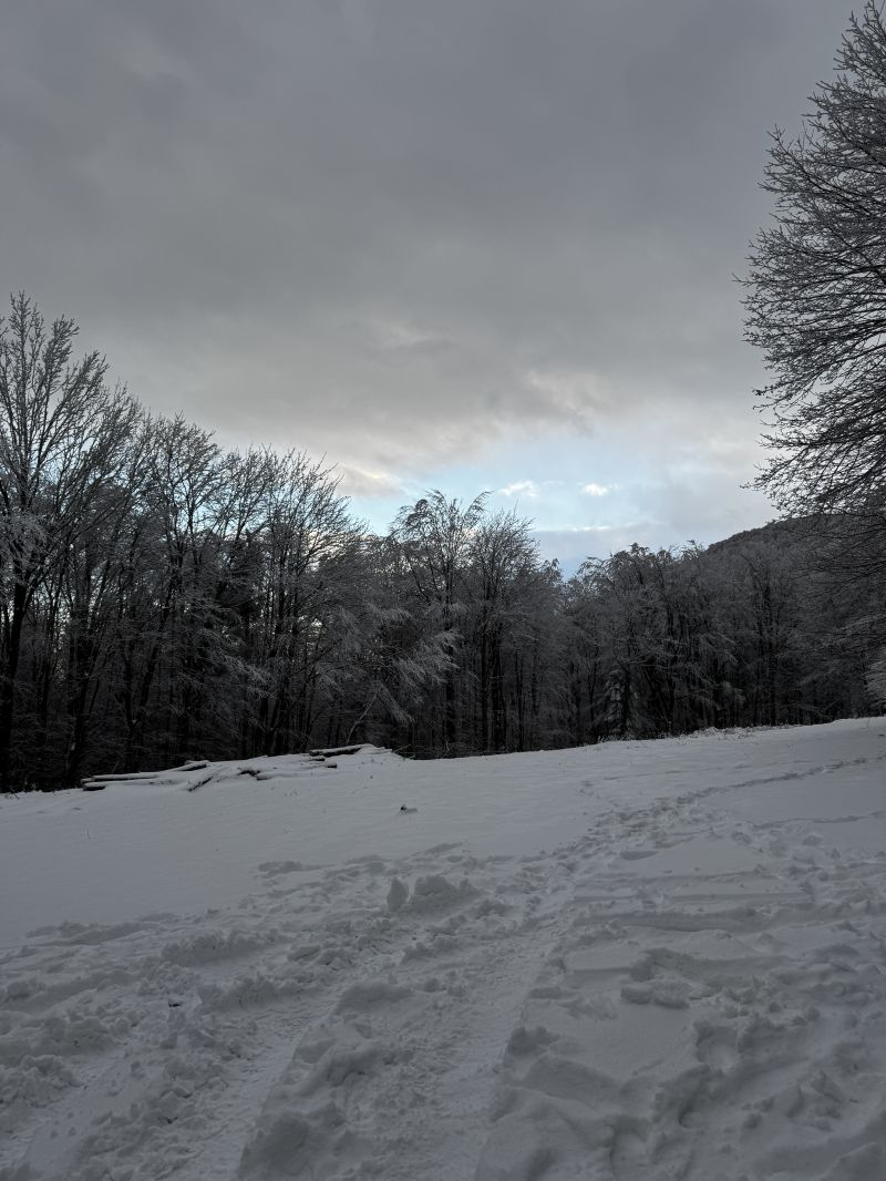 IMG_4190.jpeg