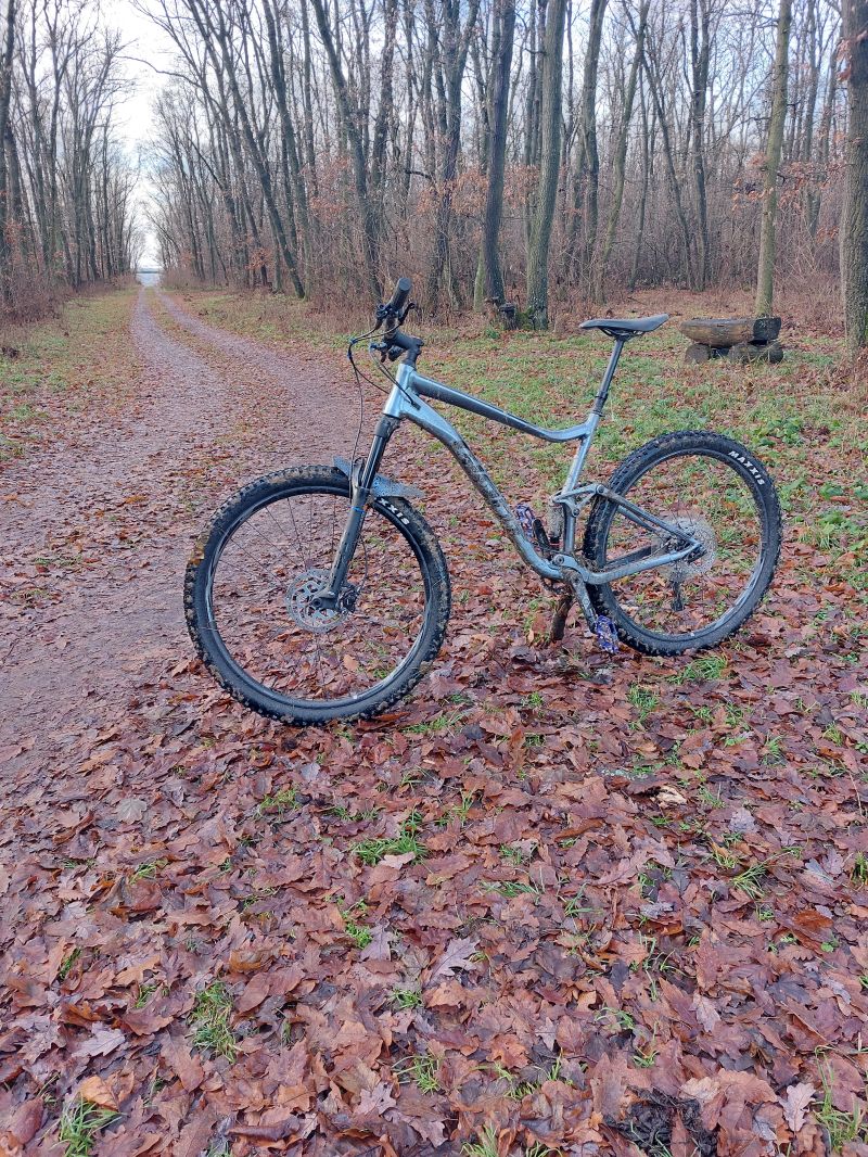 20221224_101920.jpg