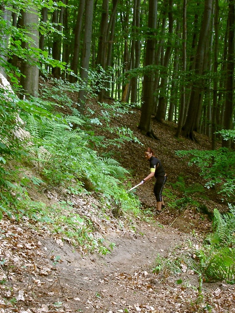 DSC02280_crs.JPG (325.15 KiB) Zobrazená 959 krát DSC02280_crs.JPG