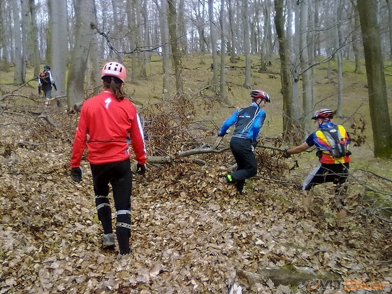 28032010021_gs800.jpg (192.46 KiB) Zobrazená 993 krát 28032010021_gs800.jpg