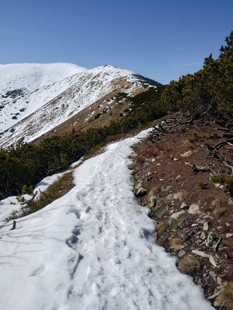 IMG_20250308_113611938_HDR.jpg