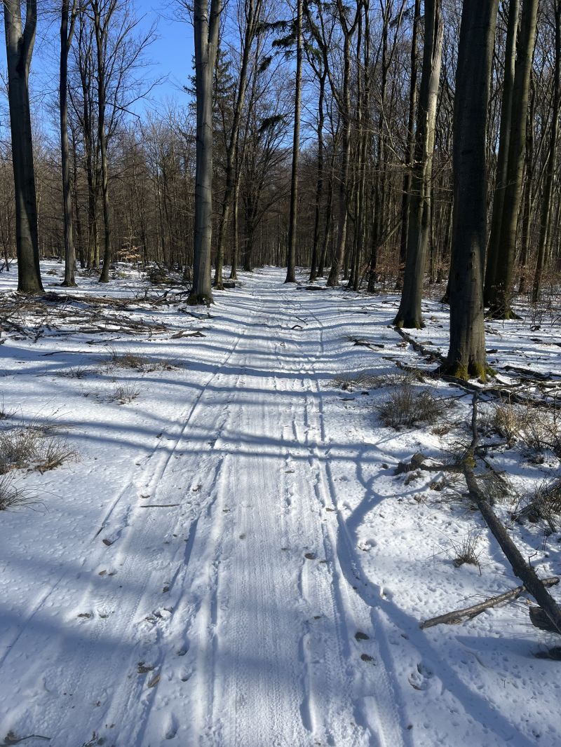 IMG_0811.jpeg
