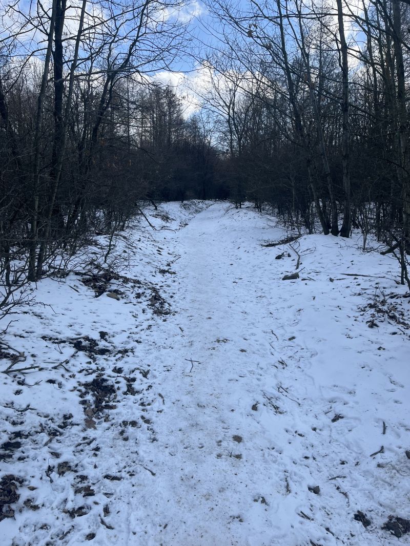 IMG_0804.jpeg