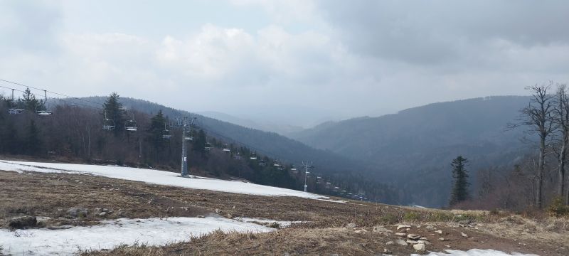 IMG_20250330_131345.jpg