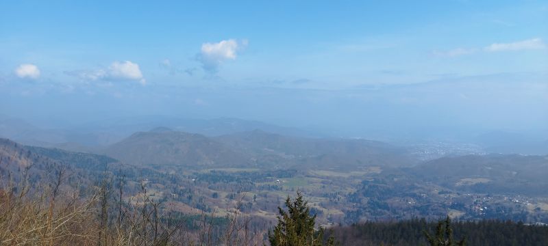 IMG_20250330_131659.jpg