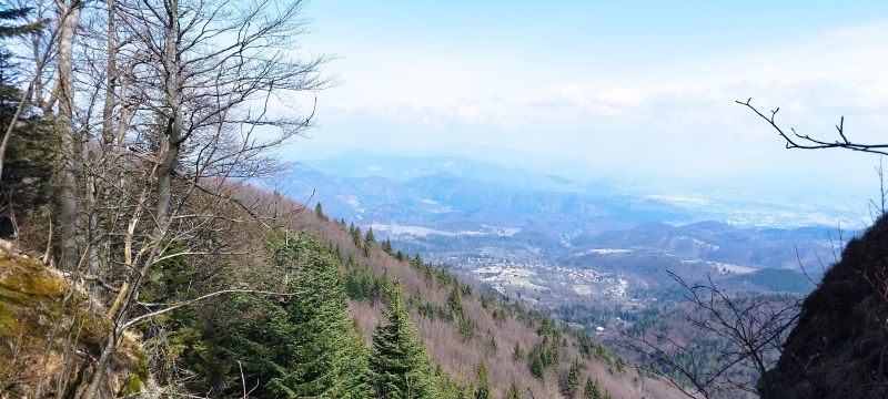 IMG_20250330_183539.jpg
