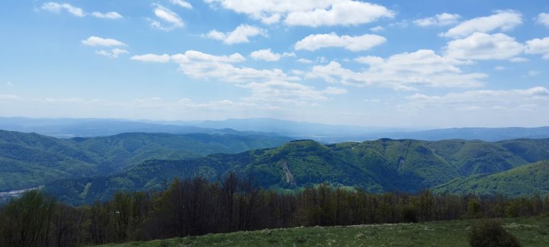 IMG_20250509_122703.jpg